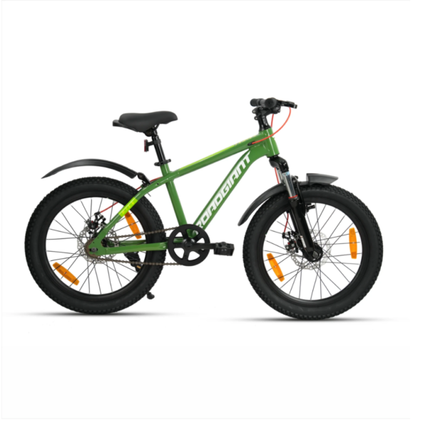 RoadGiant ProCycle
